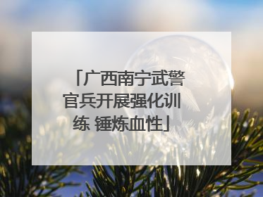 广西南宁武警官兵开展强化训练 锤炼血性