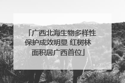 广西北海生物多样性保护成效明显 红树林面积居广西首位