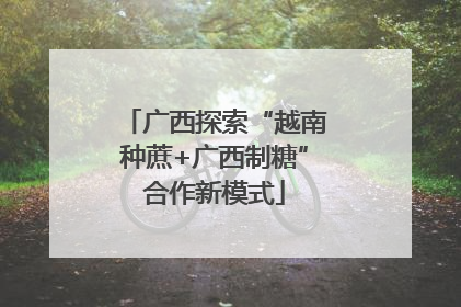 广西探索“越南种蔗+广西制糖”合作新模式