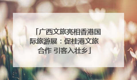 广西文旅亮相香港国际旅游展：促桂港文旅合作 引客入壮乡