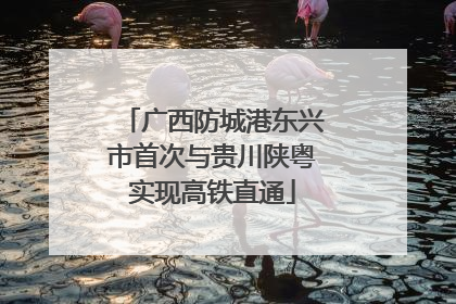 广西防城港东兴市首次与贵川陕粤实现高铁直通