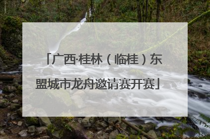 广西·桂林（临桂）东盟城市龙舟邀请赛开赛