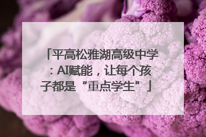 平高松雅湖高级中学：AI赋能，让每个孩子都是“重点学生”