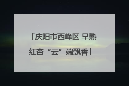 庆阳市西峰区 早熟红杏“云”端飘香