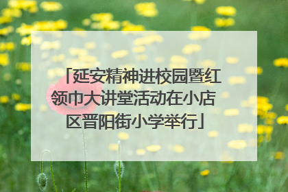 延安精神进校园暨红领巾大讲堂活动在小店区晋阳街小学举行