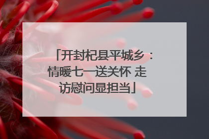 开封杞县平城乡：情暖七一送关怀 走访慰问显担当