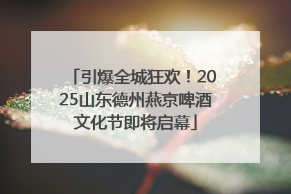 引爆全城狂欢！2025山东德州燕京啤酒文化节即将启幕