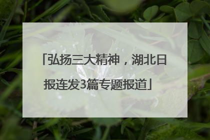 弘扬三大精神，湖北日报连发3篇专题报道