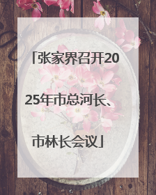 张家界召开2025年市总河长、市林长会议