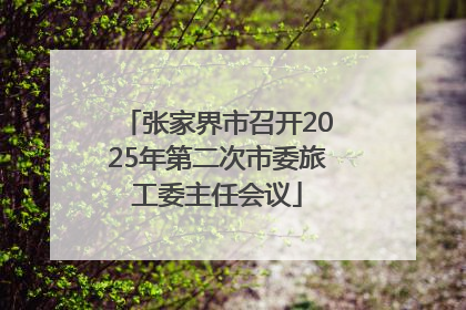 张家界市召开2025年第二次市委旅工委主任会议