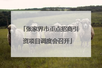 张家界市重点招商引资项目调度会召开
