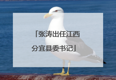 张涛出任江西分宜县委书记