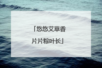 悠悠艾草香 片片粽叶长