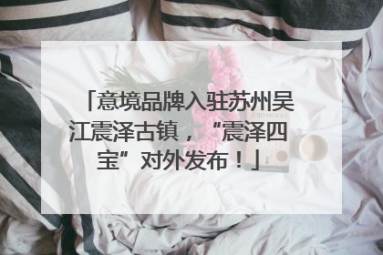 意境品牌入驻苏州吴江震泽古镇，“震泽四宝”对外发布！