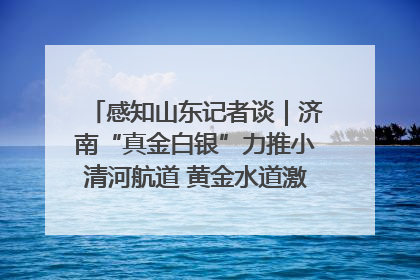 感知山东记者谈｜济南“真金白银”力推小清河航道 黄金水道激活区域经济新动能