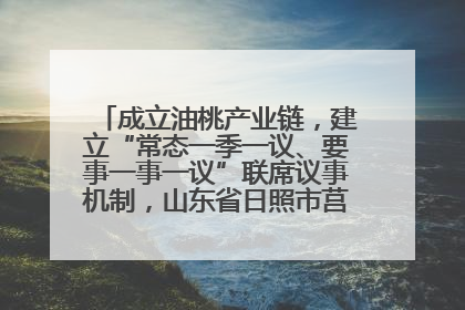 成立油桃产业链，建立“常态一季一议、要事一事一议”联席议事机制，山东省日照市莒县果庄镇——13个党小组“全周期”育果
