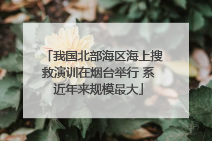 我国北部海区海上搜救演训在烟台举行 系近年来规模最大