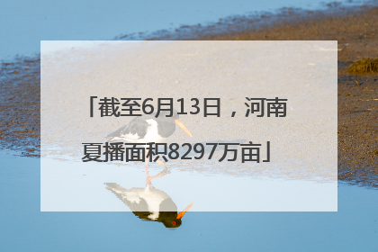 截至6月13日，河南夏播面积8297万亩