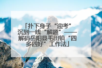 扑下身子“迎考” 沉到一线“解题”——解码岳阳县毛田镇“四多四好”工作法