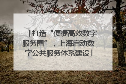打造“便捷高效数字服务圈”，上海启动数字公共服务体系建设