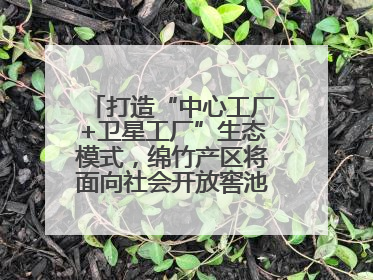 打造“中心工厂+卫星工厂”生态模式，绵竹产区将面向社会开放窖池股权认购