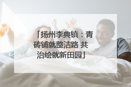 扬州李典镇：青砖铺就整洁路 共治绘就新田园