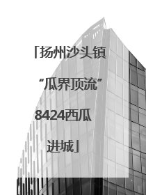 扬州沙头镇“瓜界顶流”8424西瓜进城