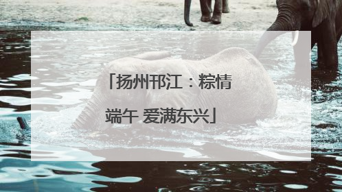 扬州邗江：粽情端午 爱满东兴