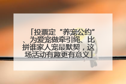 投票定“养宠公约”、为爱宠做牵引绳、比拼谁家人宠最默契，这场活动有趣更有意义