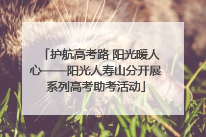 护航高考路 阳光暖人心——阳光人寿山分开展系列高考助考活动