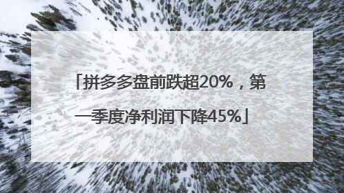 拼多多盘前跌超20%，第一季度净利润下降45%