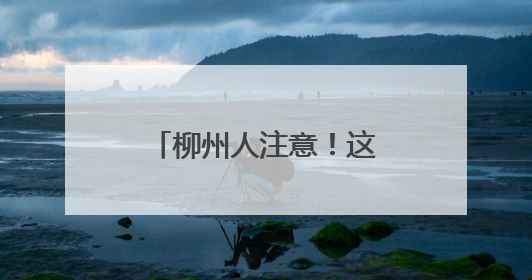 柳州人注意！这种灰黑色小虫看到一只，家里很可能已有一万只