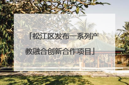 松江区发布一系列产教融合创新合作项目