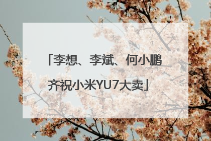 李想、李斌、何小鹏齐祝小米YU7大卖