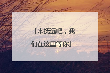 来抚远吧，我们在这里等你