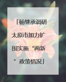 杨继承调研太原市加力扩围实施“两新”政策情况