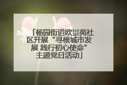杨园街道欧景苑社区开展“寻根城市发展 践行初心使命”主题党日活动