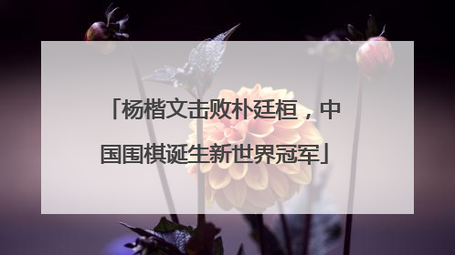 杨楷文击败朴廷桓，中国围棋诞生新世界冠军