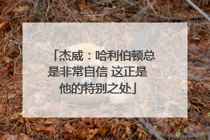 杰威：哈利伯顿总是非常自信 这正是他的特别之处