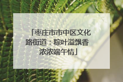 枣庄市市中区文化路街道：粽叶溢飘香 浓浓端午情