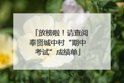 放榜啦！请查阅奉贤城中村“期中考试”成绩单