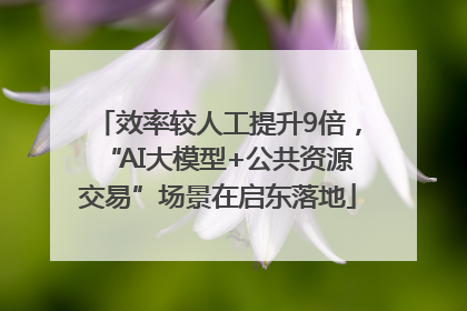 效率较人工提升9倍，“AI大模型+公共资源交易”场景在启东落地