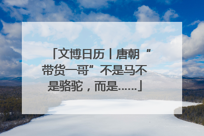 文博日历丨唐朝“带货一哥”不是马不是骆驼，而是……