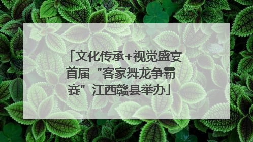 文化传承+视觉盛宴 首届“客家舞龙争霸赛”江西赣县举办