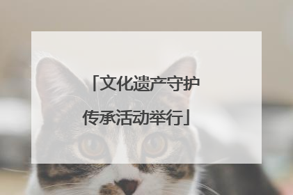文化遗产守护传承活动举行