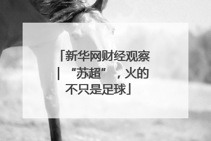 新华网财经观察｜“苏超”，火的不只是足球