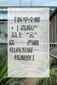 新华全媒+｜高原产品上“云”端——西藏电商发展一线观察