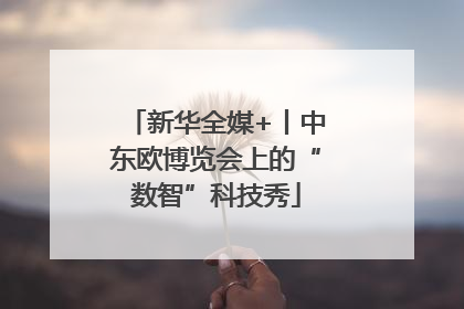 新华全媒+丨中东欧博览会上的“数智”科技秀