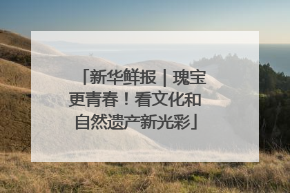 新华鲜报｜瑰宝更青春！看文化和自然遗产新光彩