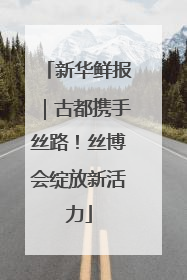 新华鲜报｜古都携手丝路！丝博会绽放新活力